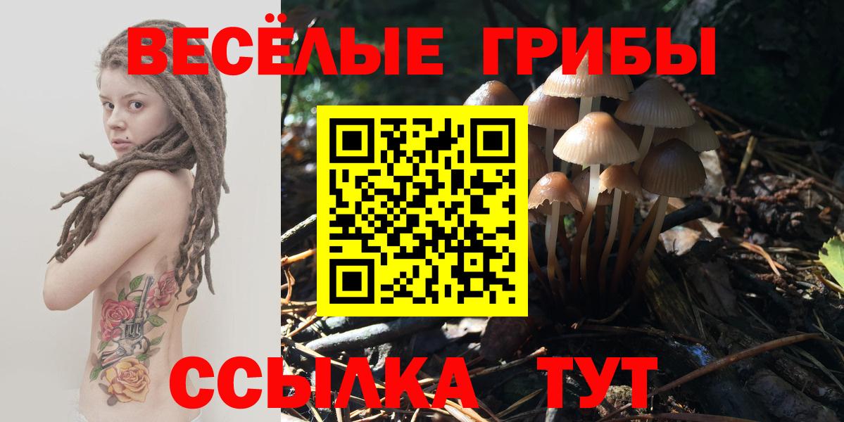 купить   Псилоцибиновые грибы GOLDEN TEACHER  Вход с VPN  Курчалой 