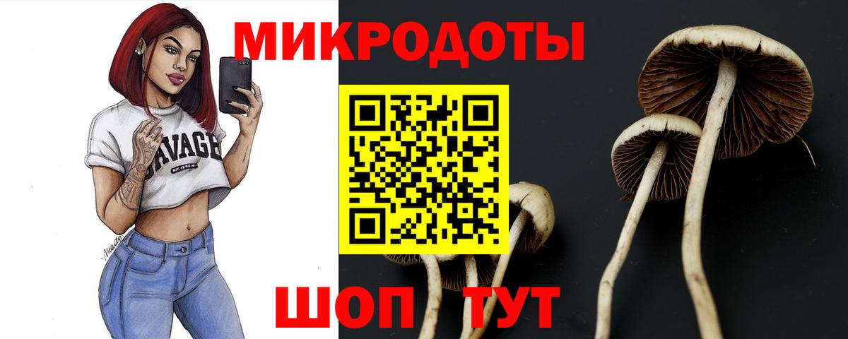 Галлюциногенные грибы Cubensis Курчалой